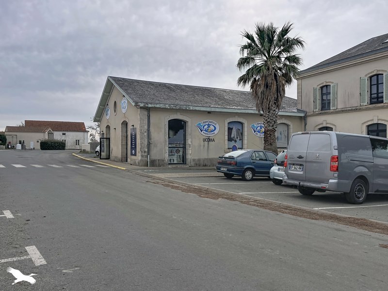 Vente Immeuble Bourcefranc-le-Chapus - -  302 m² - (17560)