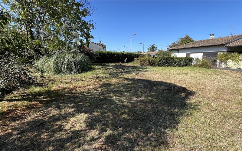 Vente Terrain CARBON BLANC - -316 m² - (33560)