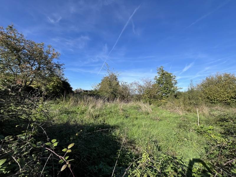 Vente Terrain ST JUNIEN - -3247 m² - (87200)