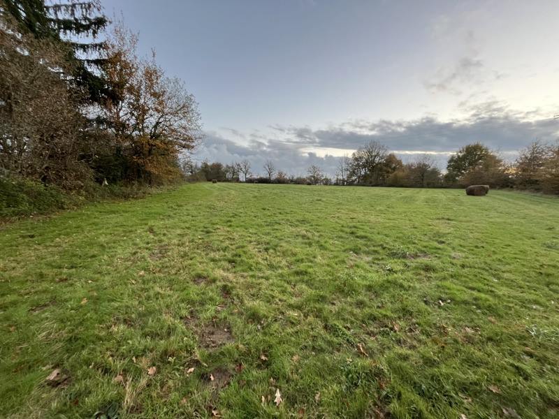 Vente Terrain NOUIC - -7985 m² - (87330)