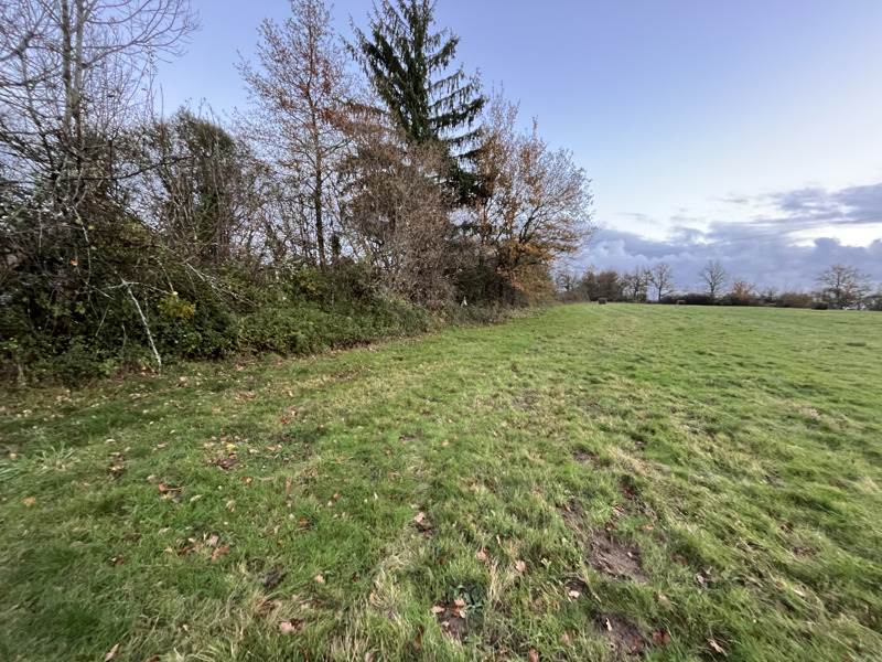 Vente Terrain NOUIC - -7985 m² - (87330)