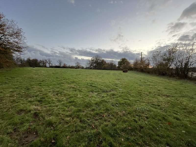 Vente Terrain NOUIC - -7985 m² - (87330)
