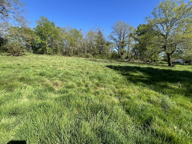 Vente Terrain SAILLAT SUR VIENNE - -932 m² - (87720)