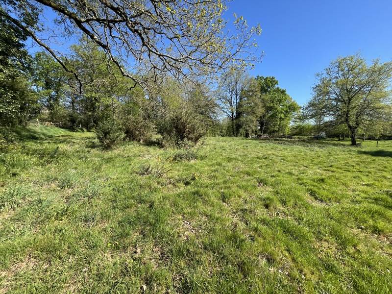 Vente Terrain SAILLAT SUR VIENNE - -932 m² - (87720)