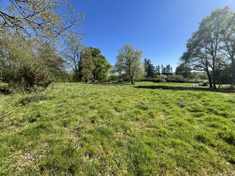 Vente Terrain SAILLAT SUR VIENNE - -932 m² - (87720)