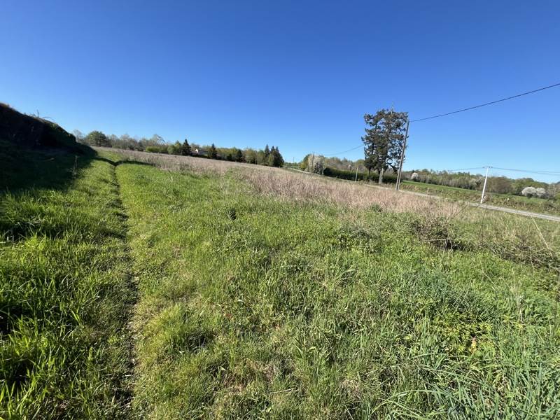 Vente Terrain ST JUNIEN - -19935 m² - (87200)