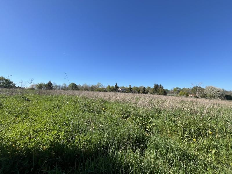 Vente Terrain ST JUNIEN - -19935 m² - (87200)