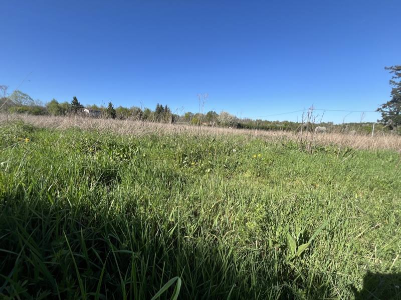 Vente Terrain ST JUNIEN - -19935 m² - (87200)