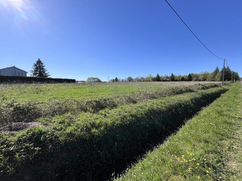 Vente Terrain ST JUNIEN - -19935 m² - (87200)