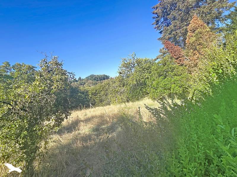 Vente Maison Saint-Junien - 4 pièces -105 m² - (87200)