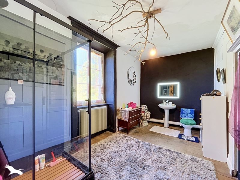 Vente Maison Saint-Brice-sur-Vienne - 10 pièces -338 m² - (87200)