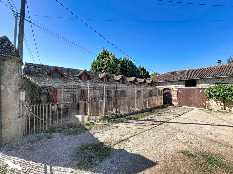 Vente Maison Saint-Brice-sur-Vienne - 10 pièces -338 m² - (87200)