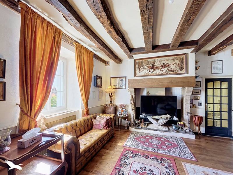 Vente Maison Saint-Brice-sur-Vienne - 10 pièces -338 m² - (87200)