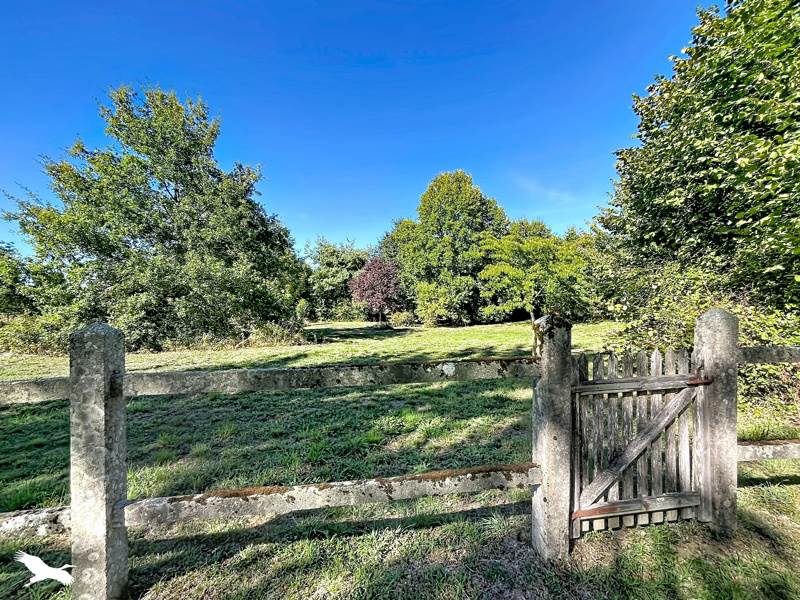 Vente Maison Saint-Brice-sur-Vienne - 10 pièces -338 m² - (87200)