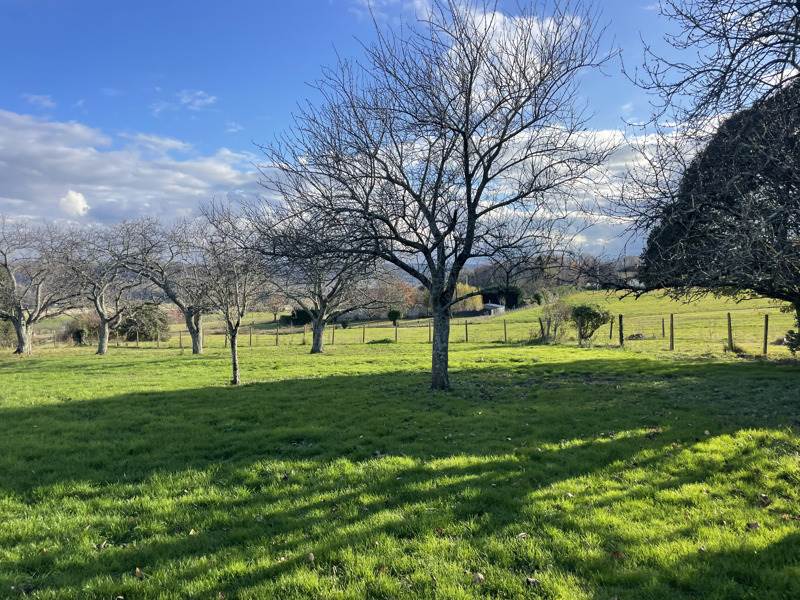 Vente Maison LUSTAR - 5 pièces -153 m² - (65220)