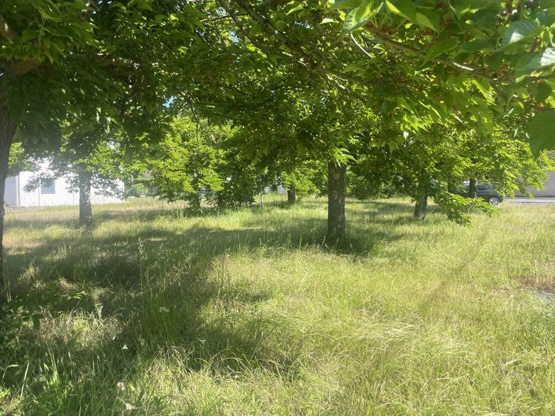 Vente Terrain SEMEAC - -1626 m² - (65600)