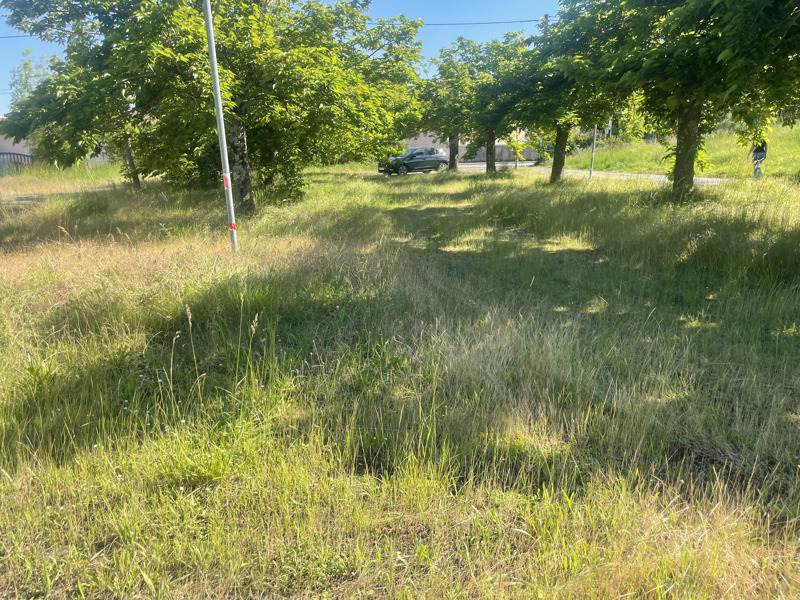 Vente Terrain SEMEAC - -1626 m² - (65600)