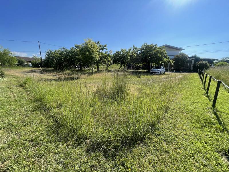 Vente Terrain SEMEAC - -1626 m² - (65600)