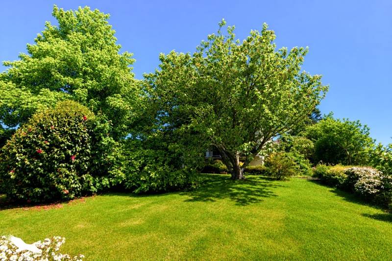 Vente Maison KERNOUES - 11 pièces -158 m² - (29260)