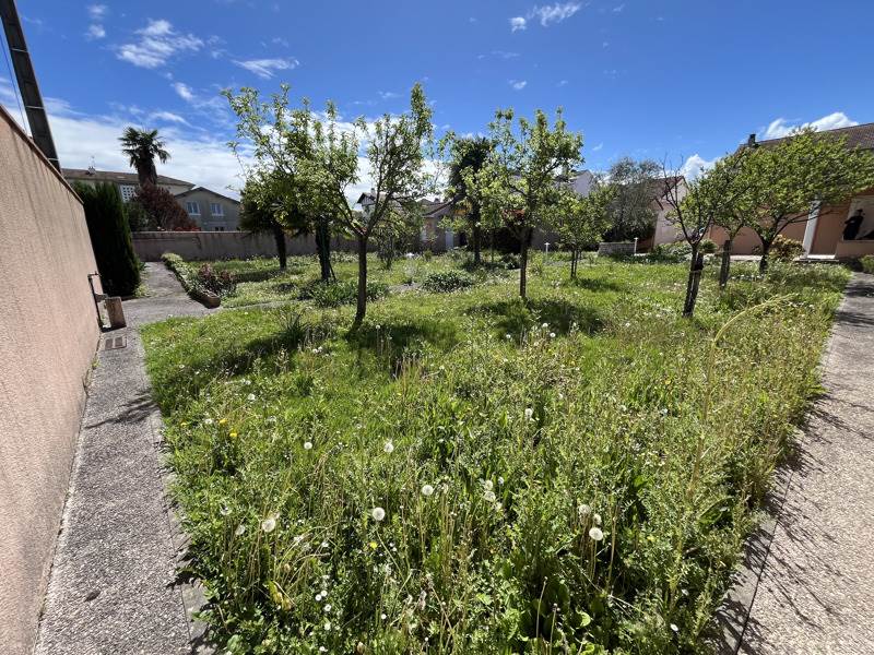 Vente Terrain TARBES - -499 m² - (65000)