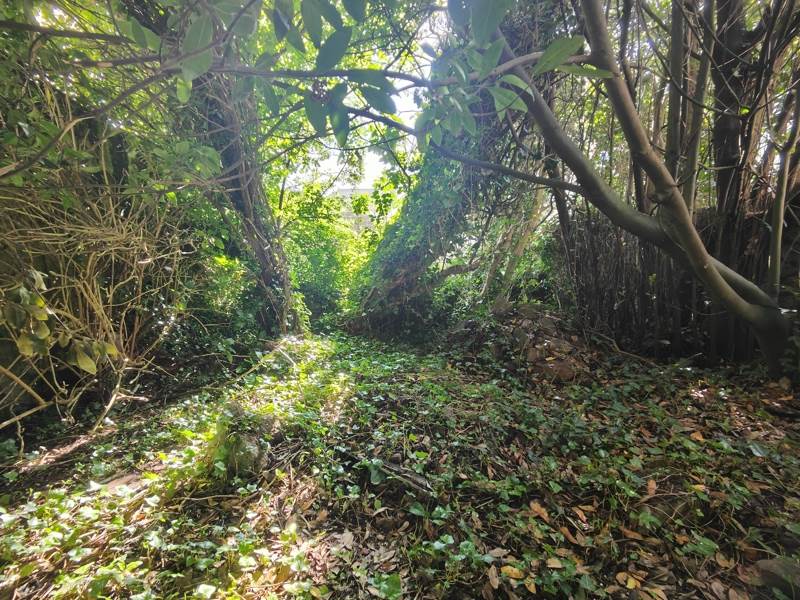 Vente Maison DOUARNENEZ - 5 pièces -175 m² - (29100)