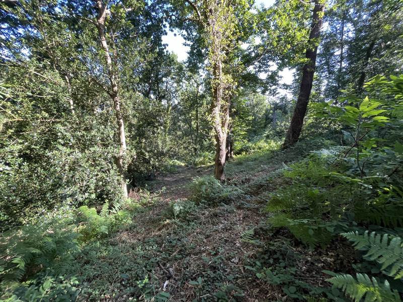 Vente Maison DOUARNENEZ - 6 pièces -226 m² - (29100)
