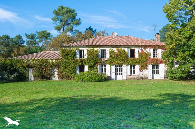 Vente Maison SAUGNAC ET MURET - 7 pièces -339 m² - (40410)