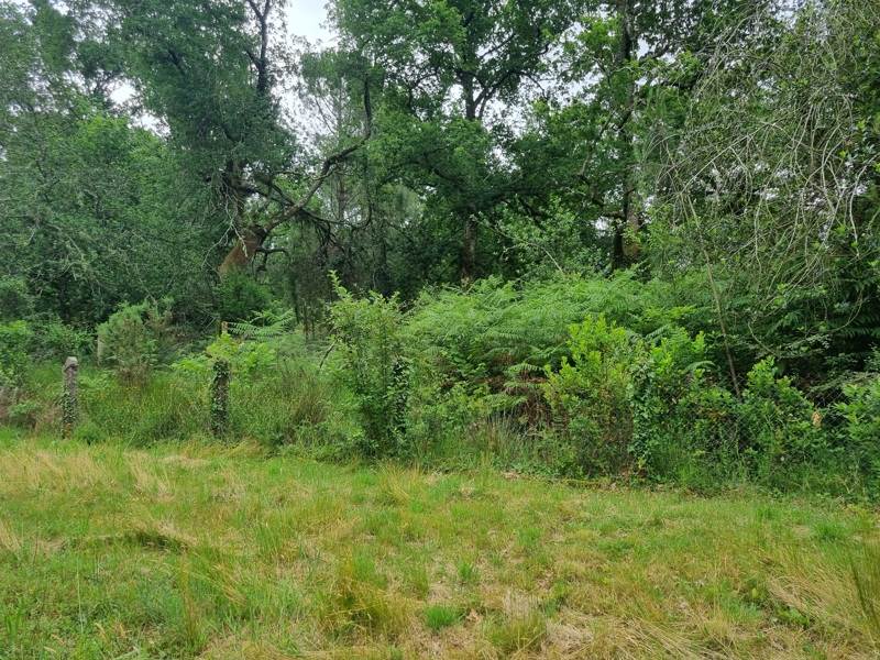 Vente Terrain LUGOS - -673 m² - (33830)