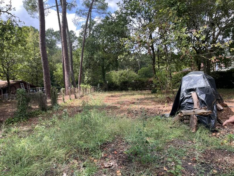 Vente Terrain Salles - -670 m² - (33770)