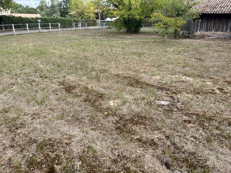 Vente Terrain Salles - -670 m² - (33770)
