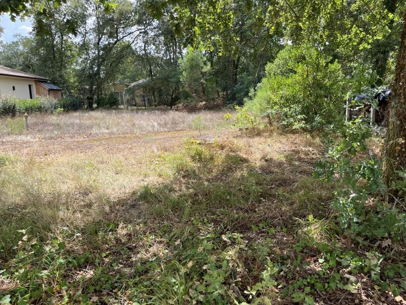 Vente Terrain Salles - -670 m² - (33770)
