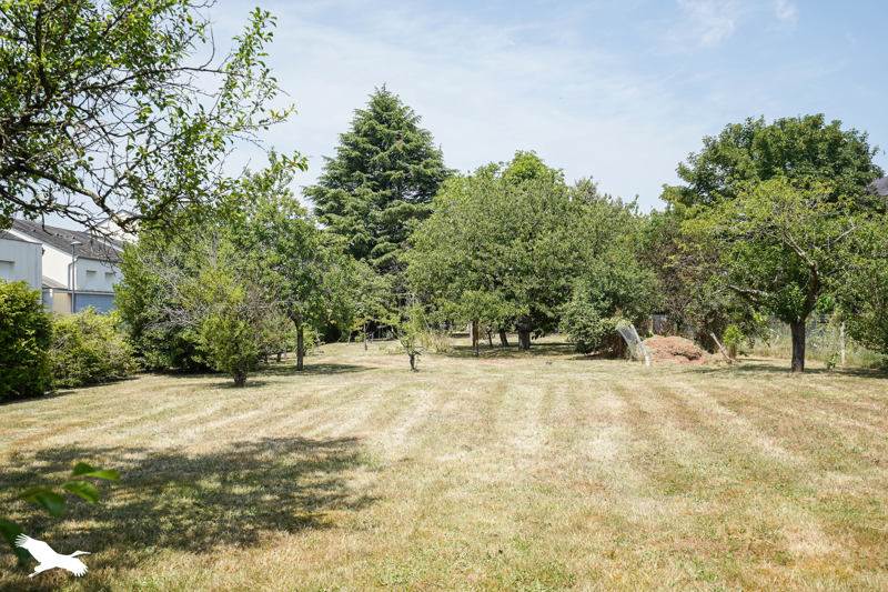 Vente Terrain MONTBAZON - -908 m² - (37250)