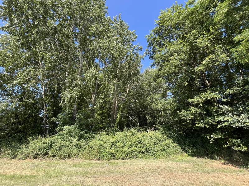 Vente Terrain SORIGNY - -3732 m² - (37250)