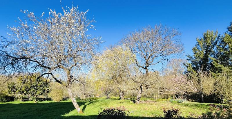 Vente Maison SORIGNY - 7 pièces -193 m² - (37250)