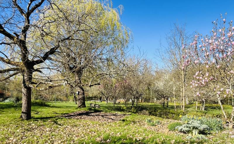 Vente Maison SORIGNY - 7 pièces -193 m² - (37250)