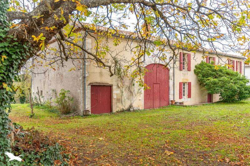 Vente Maison ST AVIT ST NAZAIRE - 9 pièces -277 m² - (33220)