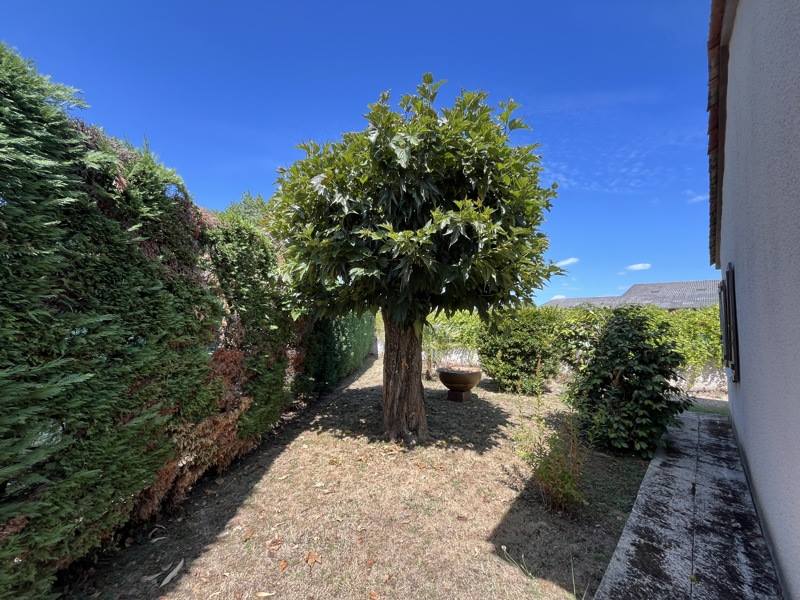Vente Maison Pineuilh - 5 pièces -120 m² - (33220)