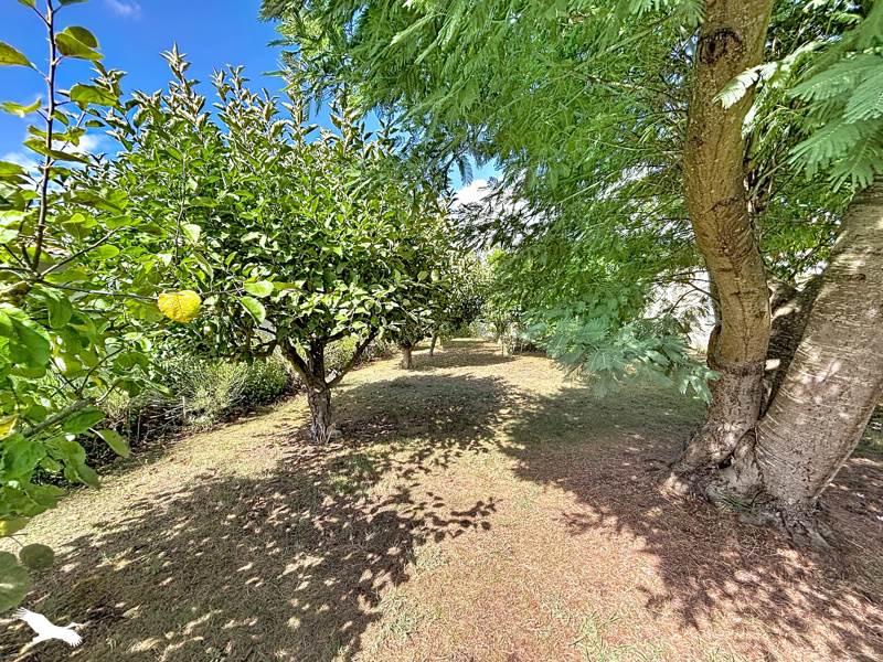 Vente Maison Saint-Palais-sur-Mer - 4 pièces -115 m² - (17420)