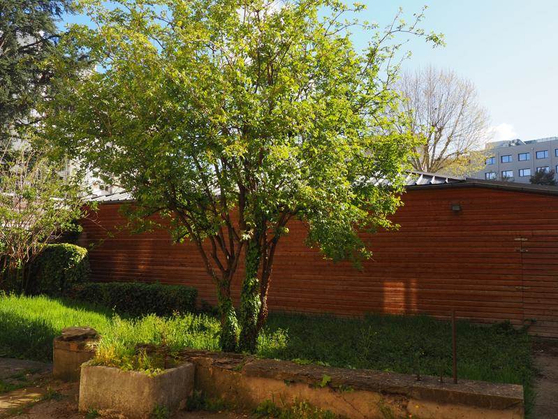 Vente Appartement LYON 03 - 1 pièce -30 m² - (69003)