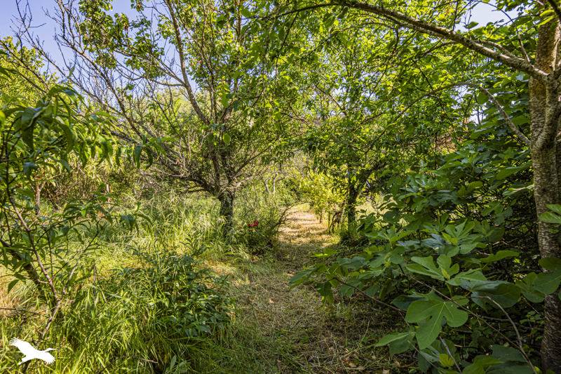 Vente Maison LA VILLE AUX DAMES - 4 pièces -133 m² - (37700)
