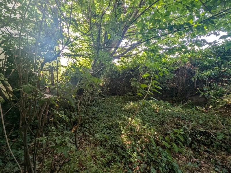 Vente Maison ST PIERRE DES CORPS - 3 pièces -40 m² - (37700)