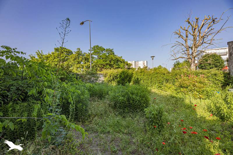 Vente Maison Saint-Pierre-des-Corps - 6 pièces -143 m² - (37700)