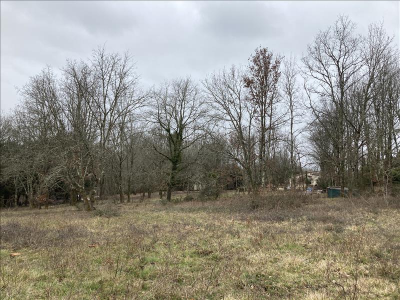 Vente Terrain MOULEYDIER - -1156 m² - (24520)