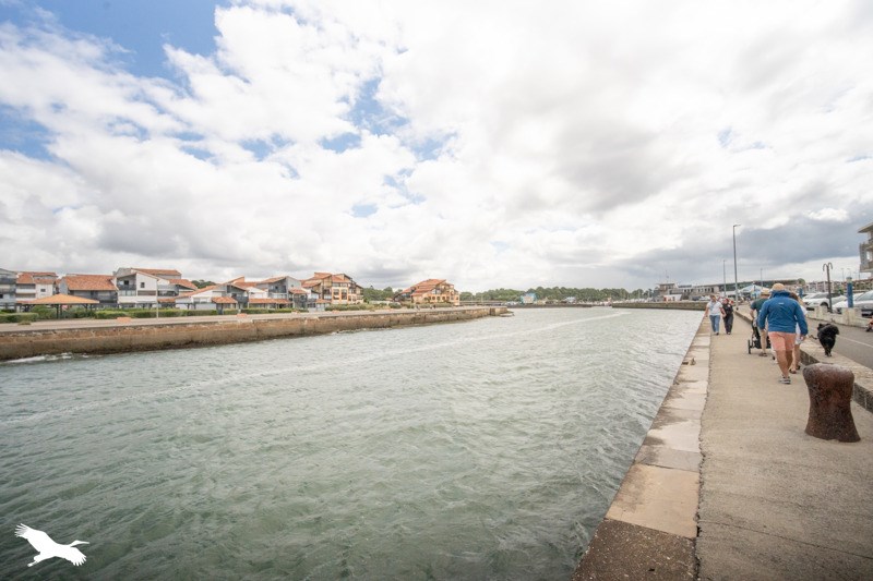 Vente Appartement CAPBRETON - 3 pièces -56 m² - (40130)