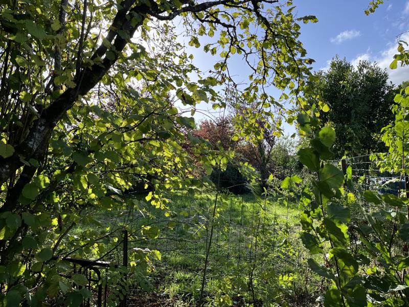 Vente Terrain RUELLE SUR TOUVRE - -700 m² - (16600)