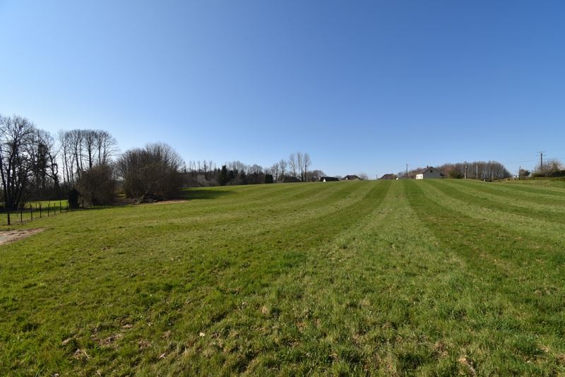 Vente Terrain ST SORNIN LAVOLPS - -12800 m² - (19230)