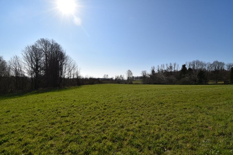 Vente Terrain ST SORNIN LAVOLPS - -12800 m² - (19230)