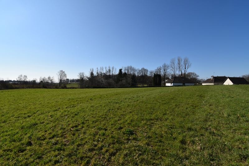 Vente Terrain ST SORNIN LAVOLPS - -12800 m² - (19230)