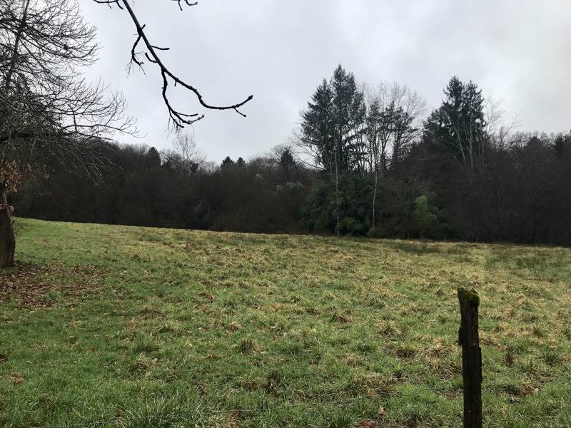 Vente Terrain ST SORNIN LAVOLPS - -1200 m² - (19230)