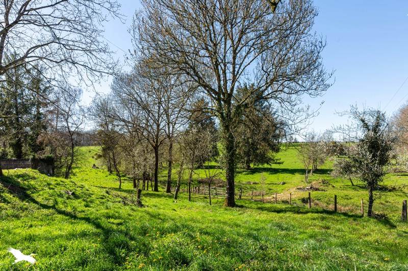 Vente Maison ST JULIEN LE VENDOMOIS - 7 pièces -176 m² - (19210)